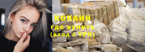 твердый Медногорск