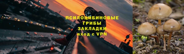ECSTASY Медвежьегорск