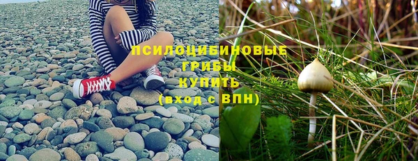 хмурый Магадан