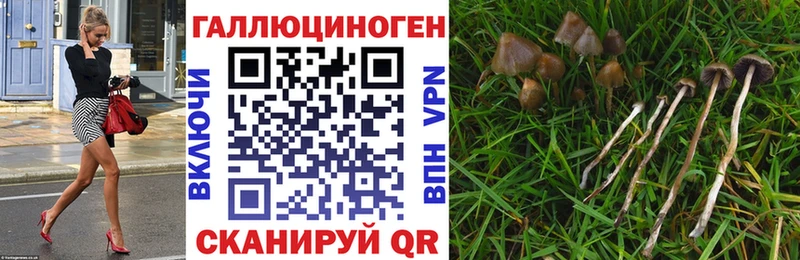 Галлюциногенные грибы Magic Shrooms как найти Смоленск
